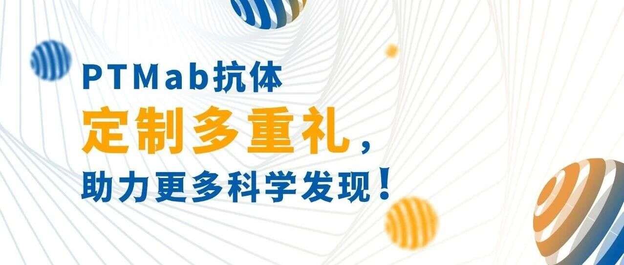 挑战高难度!PTMab®专属抗体定制,让科研难题迎刃而解