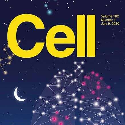 Cell三连发:临床肺癌蛋白质组新突破,中国科学家再攀高峰