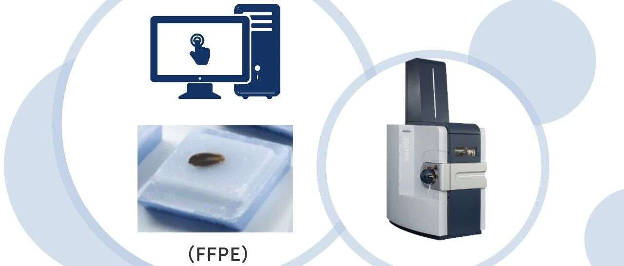 4D技术新应用-FFPE蛋白质组学