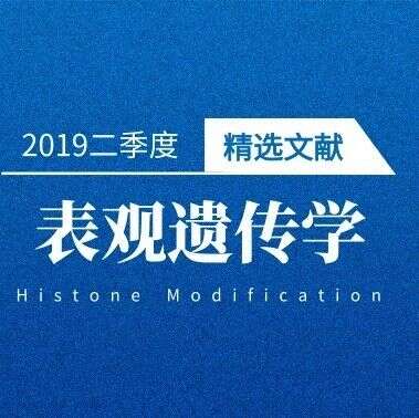 文献精选 | 2019年二季度必读的表观遗传学亮点研究