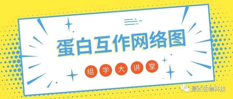手把手教你做蛋白互作网络图