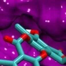 北大医学院赵文会组首次发现P53 β-羟基丁酰化修饰减弱其肿瘤抑制功能