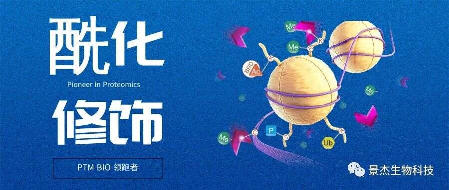 典型案例-酰化修饰