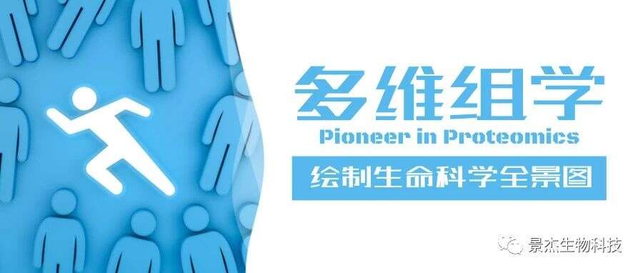 典型案例-多维组学