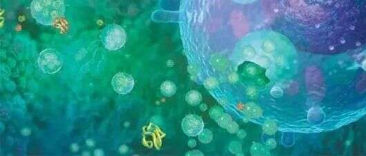 古树新芽亦争春,蛋白质组学深入揭示囊泡运输的重要机制