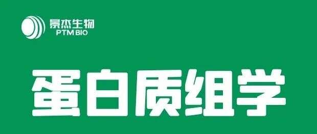 合作文章