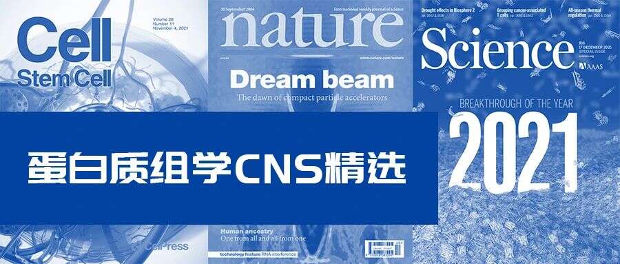 专栏文章