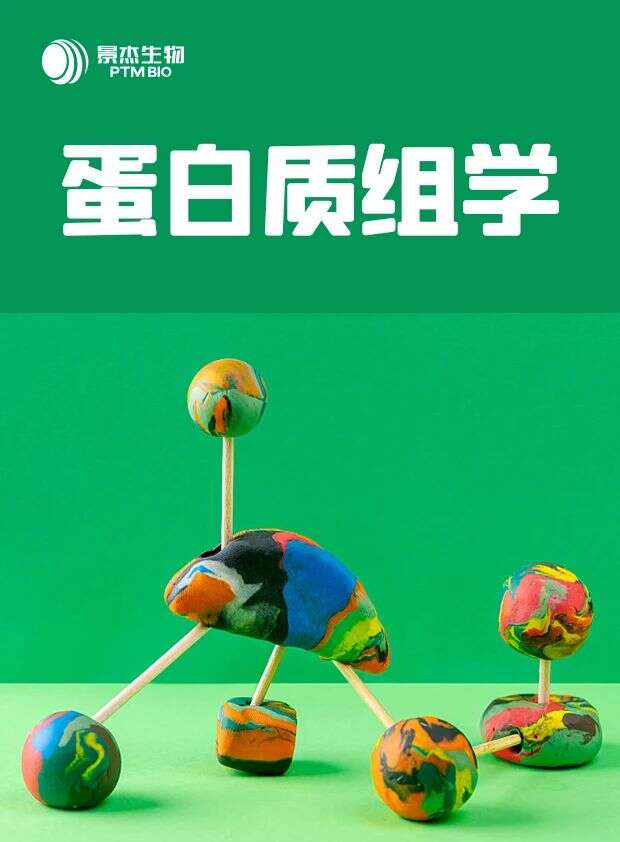 合作文章