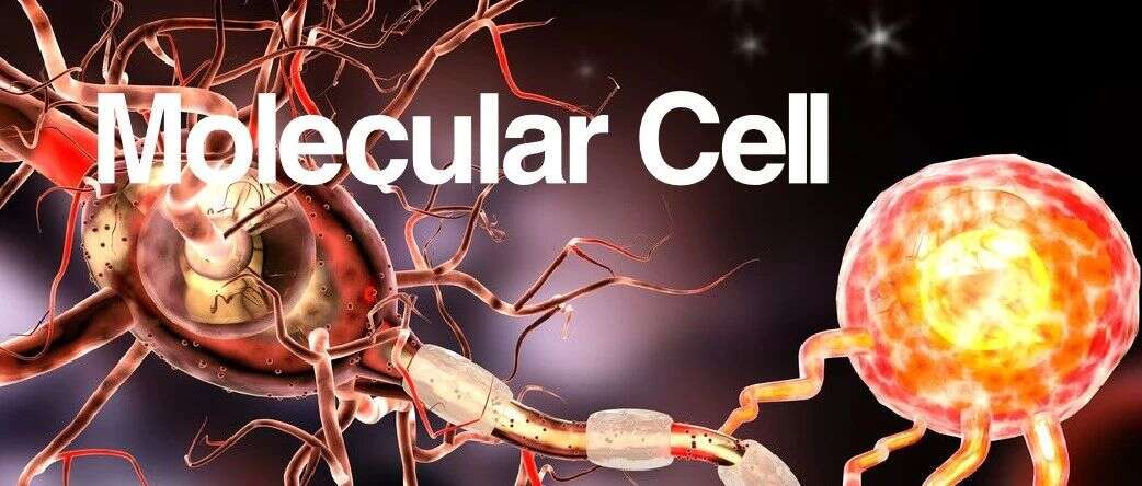Mol Cell | 时间轨迹的蛋白组分析揭示神经细胞分化过程中细胞器重塑机制