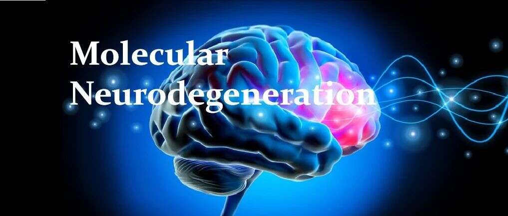 Mol Neurodegener | 彭隽敏/柏兵重磅综述:基于质谱的蛋白质组学在阿尔兹海默症中的应用