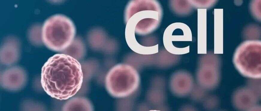 Cell | 蛋白基因组学揭示胰腺癌潜在治疗靶点与早期诊断标志