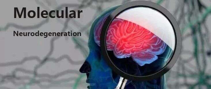 Mol Neurodegener | 中科大和厦门大学联合发现RNA结合蛋白调控脑衰老和阿尔茨海默病进程的新机制