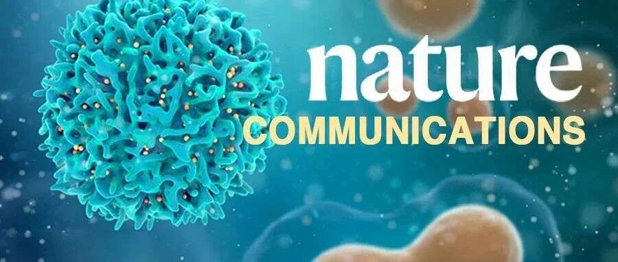 Nat Comm | 北京大学张宏权团队发现新型组蛋白翻译后修饰——异烟酰化修饰
