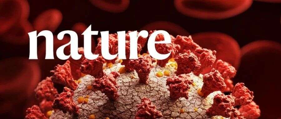 Nature | 多层次蛋白质组学综合分析冠状病毒侵染宿主细胞的分子机制