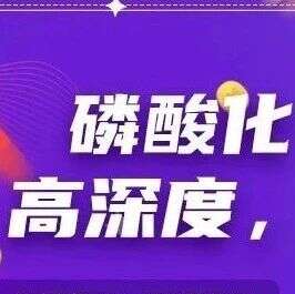 更高深度,磷酸化修饰组+蛋白组双重升级