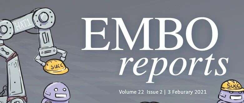 EMBO reports | 南开大学张晓东组首次揭示HAT1琥珀酰转移酶促进肝癌细胞生长