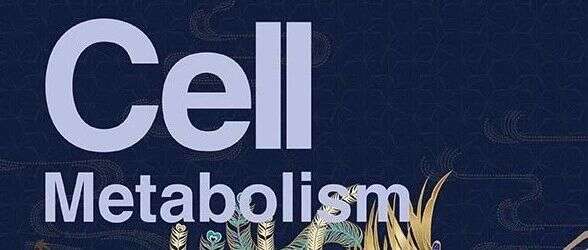Cell Metab | “节食”促进免疫代谢重组,结核病预防再添“金钟罩”