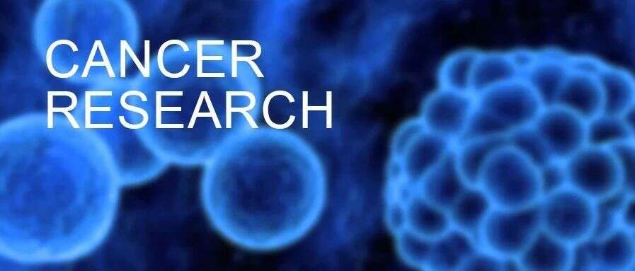 Cancer Res | 整合多组学揭示低级别浆液性卵巢癌中MEKi治疗敏感相关标志物及新型治疗靶标
