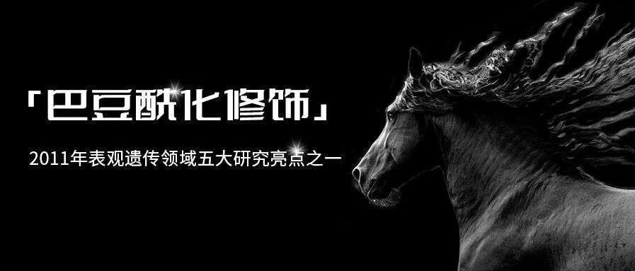 PTM表观遗传修饰“黑马”之巴豆酰化