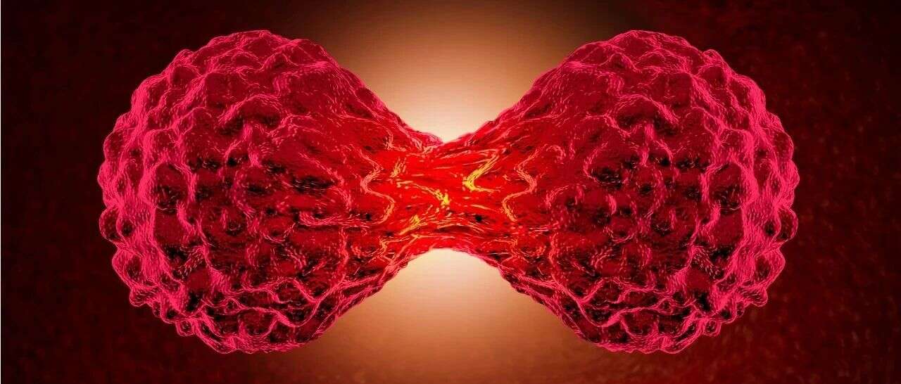 乳腺癌辅助治疗新突破:蛋白组学揭示与乳腺癌复发相关的关键靶点