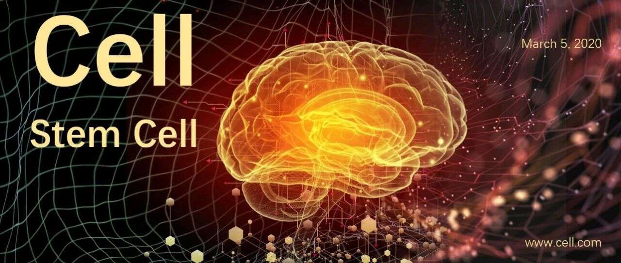 消失的记忆能恢复吗?Cell Stem Cell:蛋白质组学揭示阿尔兹海默症发病机制及改善关键