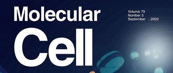 Molecular Cell:浙大基础医学院王迪组揭示HDAC3介导线粒体驱动的IL-1β依赖性炎症机制