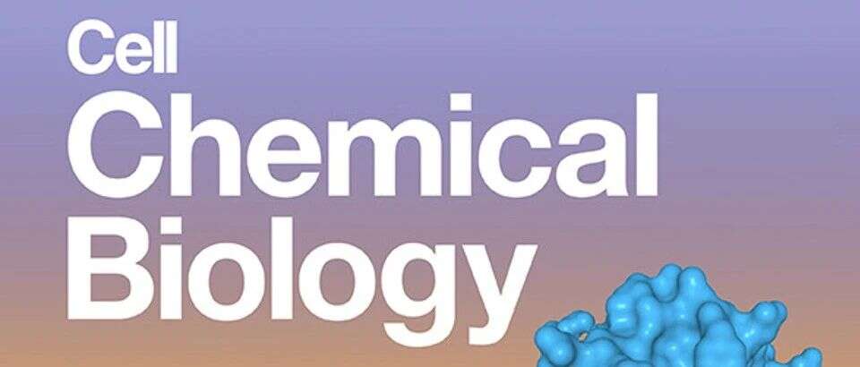 Cell Chem Biol | 蛋白组及磷酸化修饰组揭示IRAK4在淋巴瘤细胞增殖和炎症中的调控作用