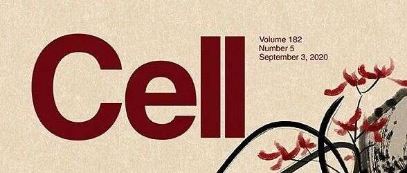 Cell 主刊9月双响,蛋白组学研究揭示表征疾病进程的分子特征