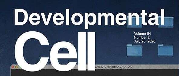 Development Cell 前瞻性聚焦 | 代谢物在蛋白质修饰组学及细胞生长信号中的调控作用