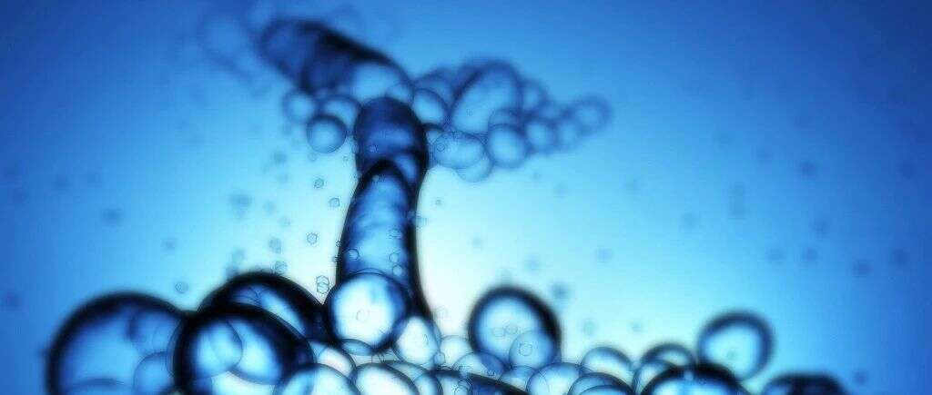 “剪刀手”磷酸化 | Cell Rep揭示磷酸化对脂质代谢和脂肪酰基链长度的调控作用
