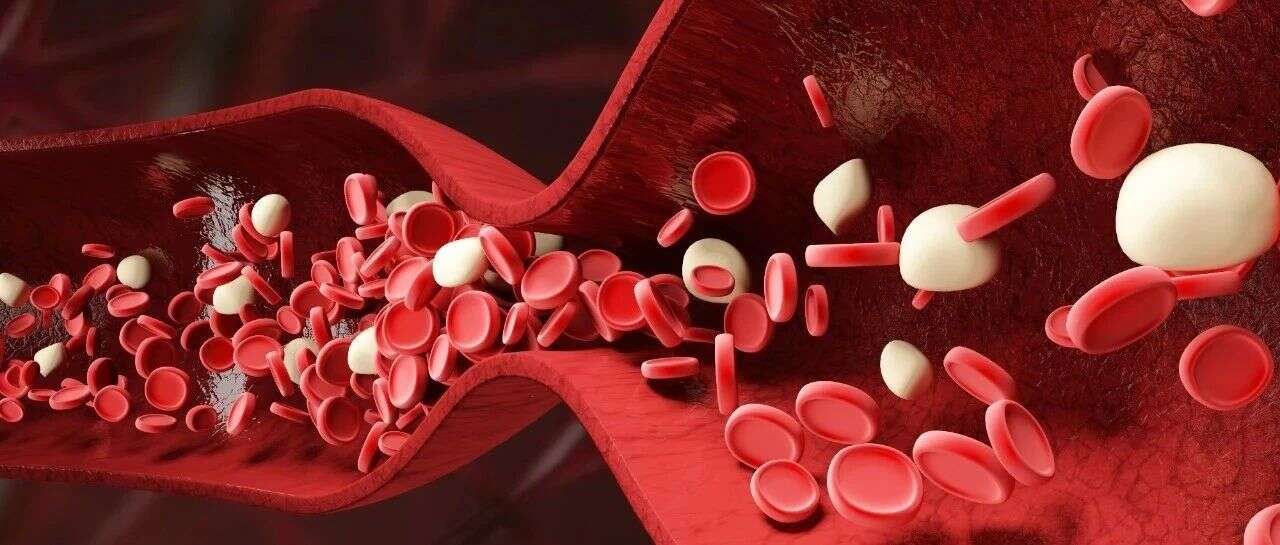 Cell Reports | 泛素化修饰组学揭示动脉粥样硬化发生的关键靶点