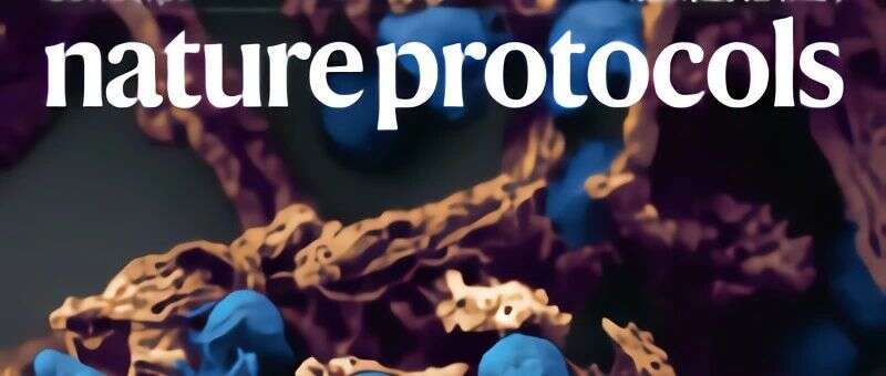 Nature Protocols上演“帽子戏法”,蛋白质组学大牛连发修饰蛋白组学新进展