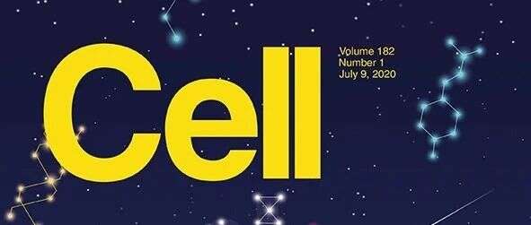 Cell三连发:临床肺癌蛋白质组新突破,华人科学家再攀高峰