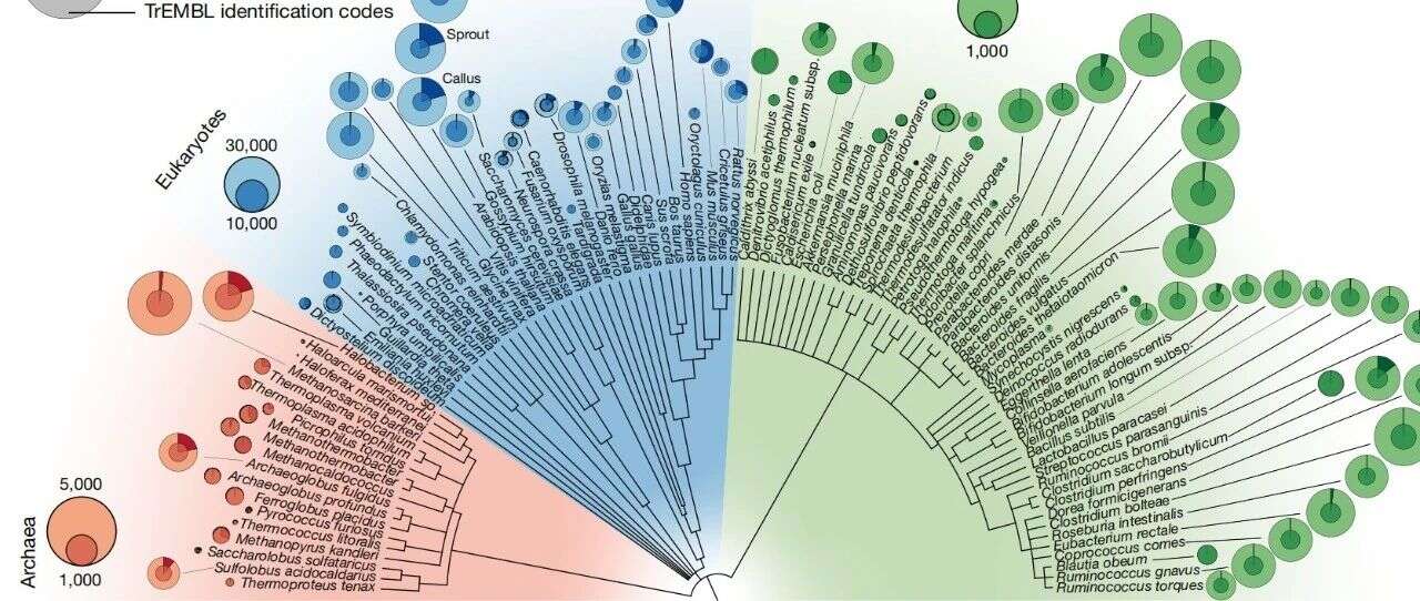 Nature重磅:100个物种的蛋白质全景图,高通量蛋白组技术最新力作!