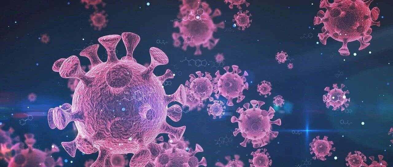 Nature:蛋白质组学研究揭示新冠治疗靶标,可显著抑制病毒复制!