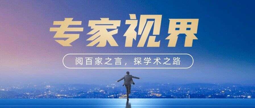 专家视界