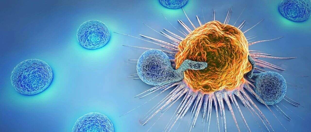 暗藏玄机,Cell | 蛋白质组学揭示黑色素瘤响应免疫治疗的线粒体依赖性