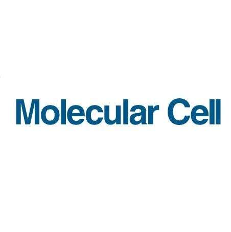 Molecular Cell | 李祥/阮永怡/黄永瀚合作揭示组蛋白戊二酰化对核小体动态结构的影响