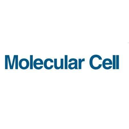 Mol Cell | 徐平/贺福初合作团队报道不同泛素链类型的转换介导转录因子的激活