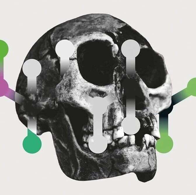 NATURE新闻特写 | DNA,请挪步:轮到古蛋白登场揭示人类史了