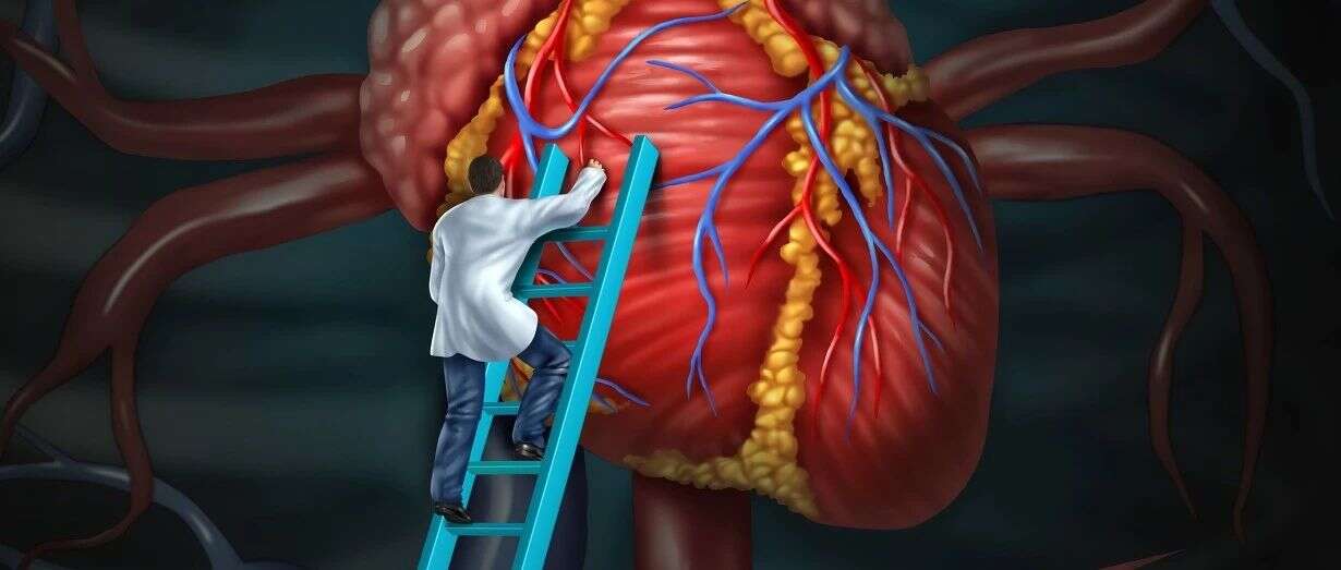 EUR HEART J 亮点 | 基于蛋白质组学构建心源性休克患者分类系统