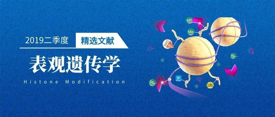 【文献精选】2019年二季度必读的表观遗传学亮点研究