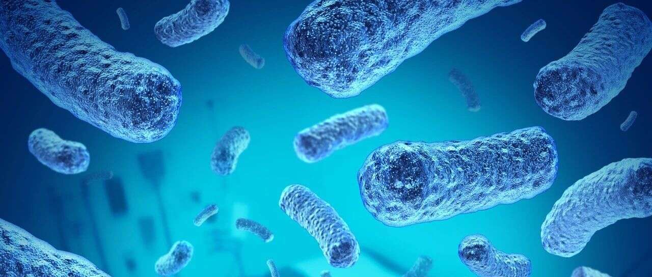 MCP重磅!中科院微生物所黄力组发文嗜热古生菌中蛋白质乙酰化功能研究