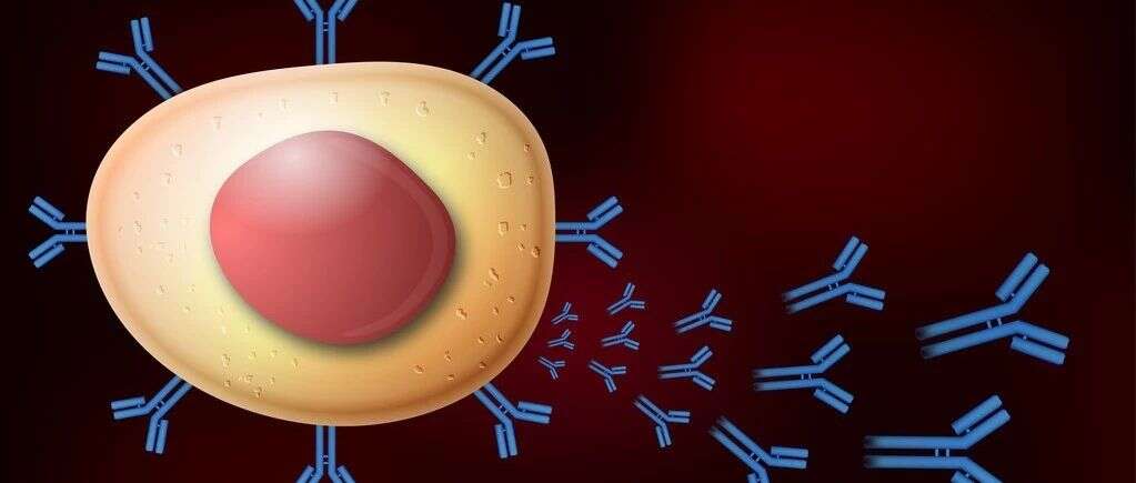 Cell Metabolism亮点 | EB病毒重塑宿主B细胞通路获取营养的“糖衣炮弹”