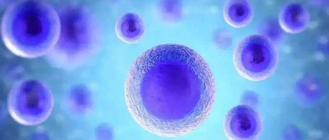 意料之外!Cell Reports | 巨噬细胞来源的肿瘤细胞外泌体可能刺激免疫