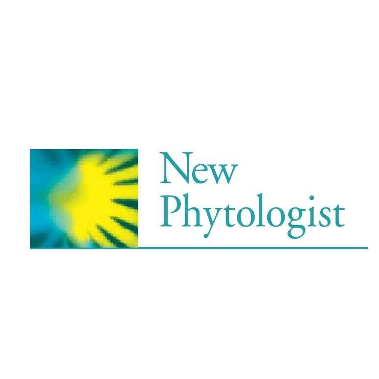 New Phytologist:浙江大学卢钢组研究揭示MAPK20在番茄生殖发育过程中的关键作用