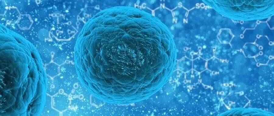 Nat Immunol:蛋白质组学揭示T细胞活化中的非降解型泛素化修饰