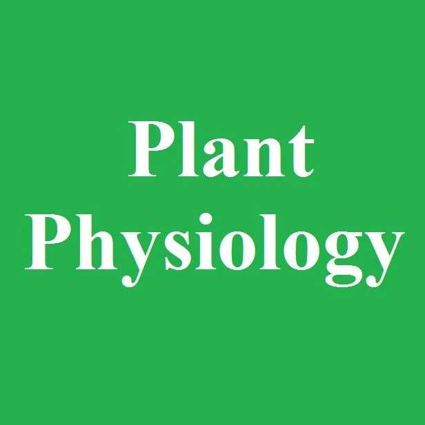 Plant Physiology:种康院士团队揭示糖基化和磷酸化修饰介导小麦开花的新机制