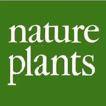 Nature Plants | 中国农业大学高俊平组揭示玫瑰平衡生长和干旱存活关键机制