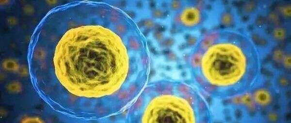 蛋白质组学揭示特发性炎性肌病发病关键机制 | Rheumatology
